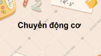 Động từ hành động - Lớp 10 - Quizizz