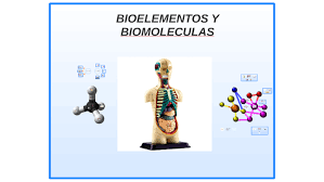 átomos y moléculas Tarjetas didácticas - Quizizz