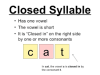 Syllables - Class 4 - Quizizz