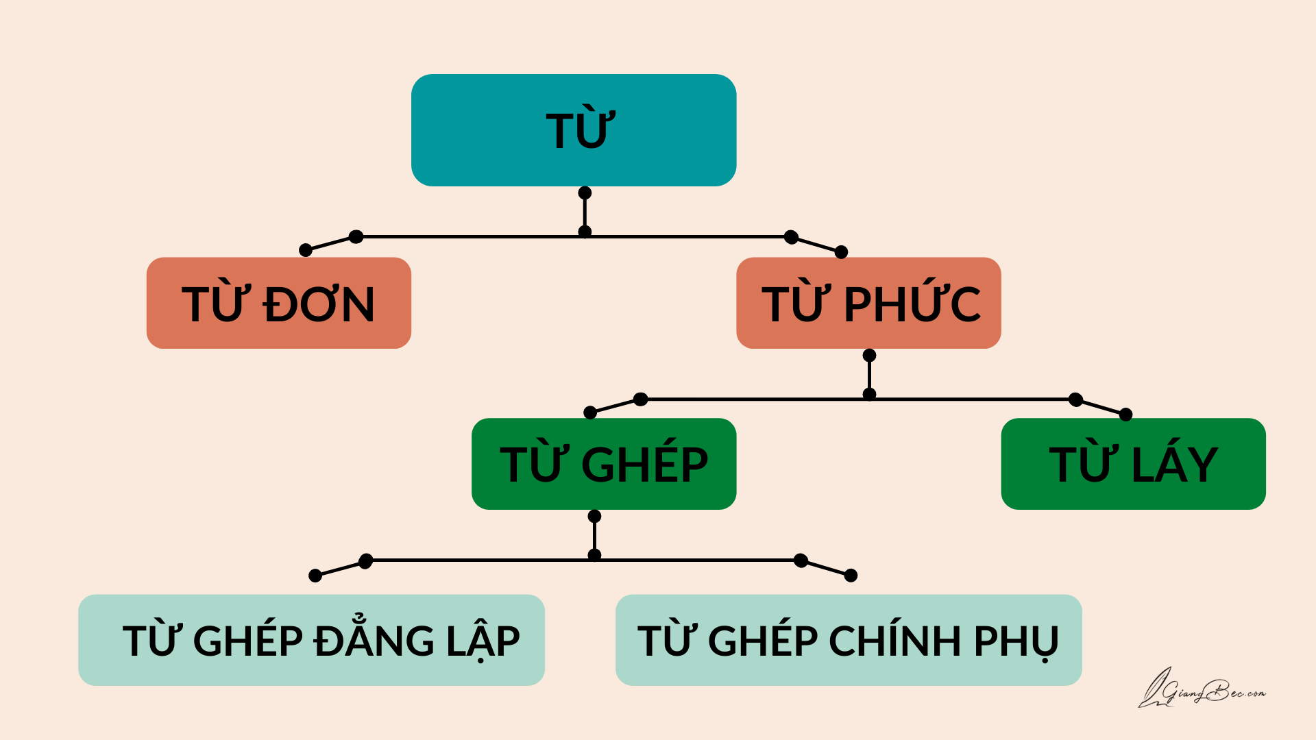 Cấu trúc của từ ghép - Lớp 7 - Quizizz