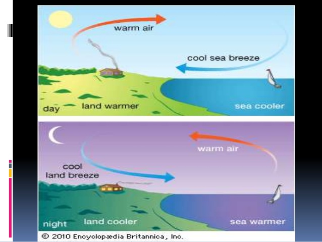 Earth Wind Patterns | Science - Quizizz