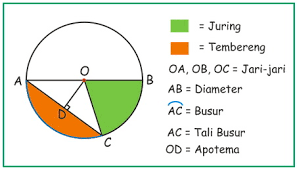 Lingkaran Kelas 8 Mathematics Quiz Quizizz