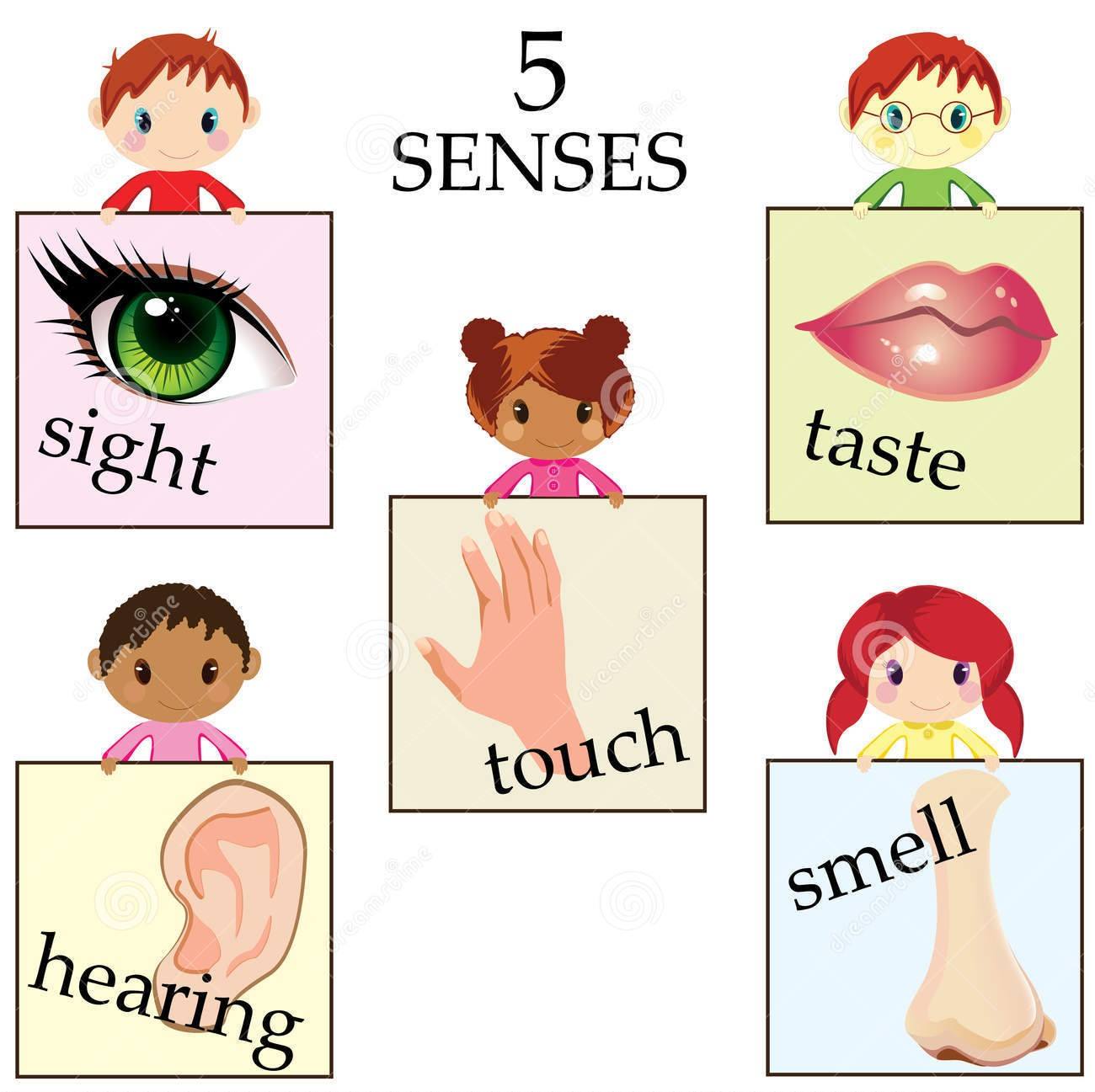 What Are The Five Senses Of Imagery