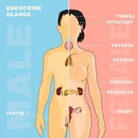 Farmacología - Grado 3 - Quizizz