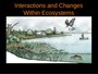 Organism Interactions in Ecosystems