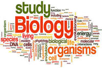 plant biology - Class 7 - Quizizz
