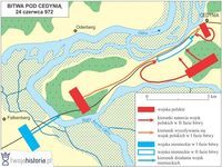 Aluzje - Klasa 12 - Quiz