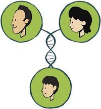 inherited and acquired traits - Year 12 - Quizizz