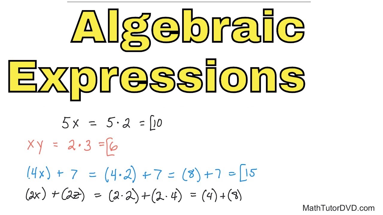 Evaluating and Simplifying Algebraic Expressions