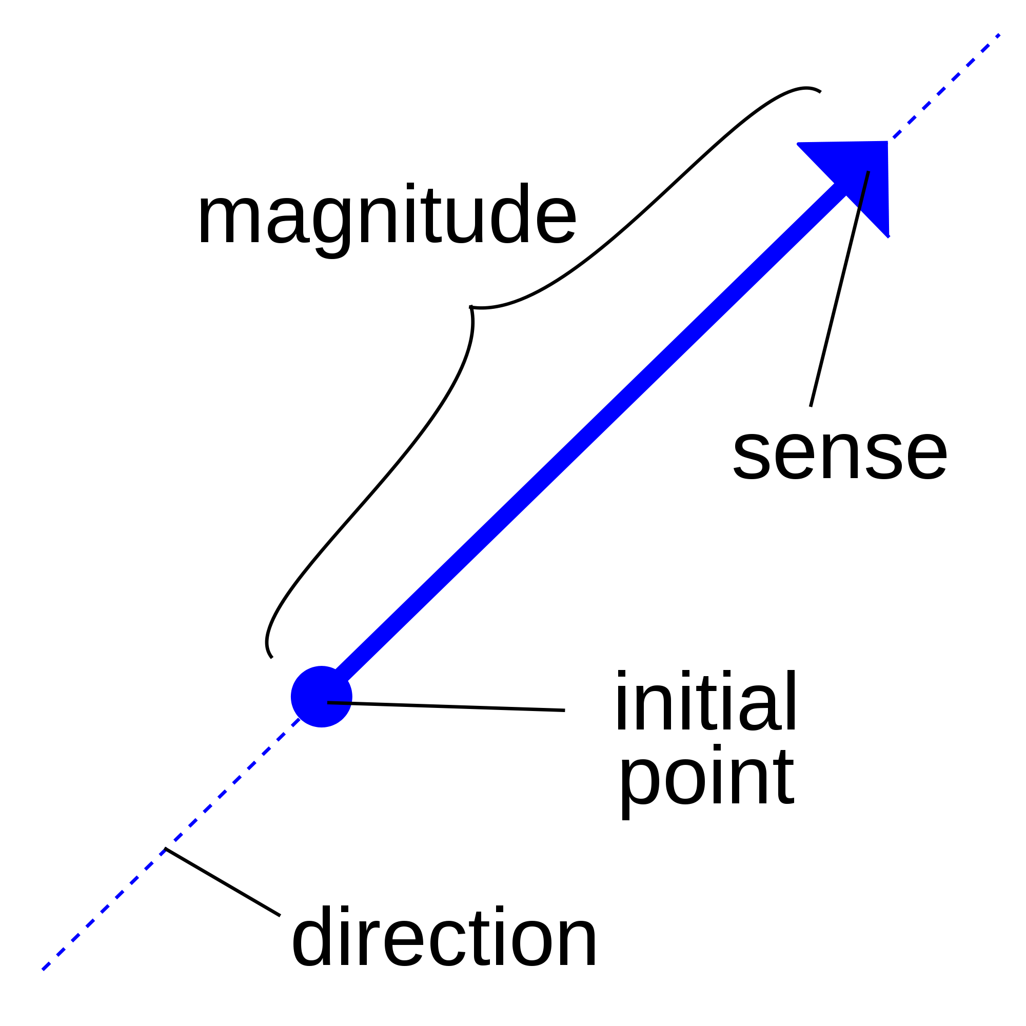 Vectors