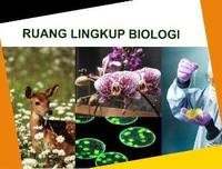 biologi manusia - Kelas 2 - Kuis