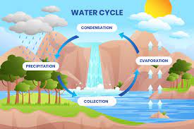 Water Cycle