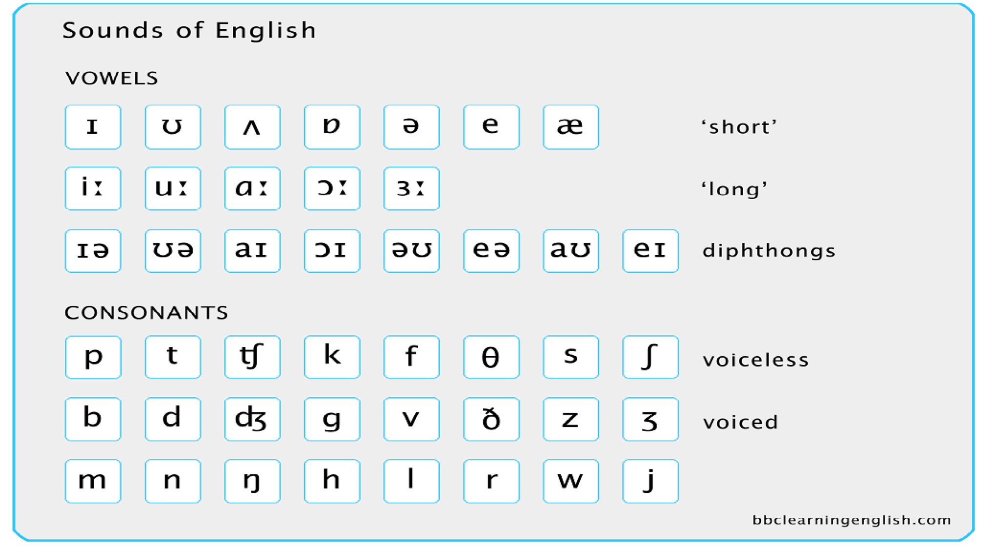 IPA - VOWELS | English - Quizizz