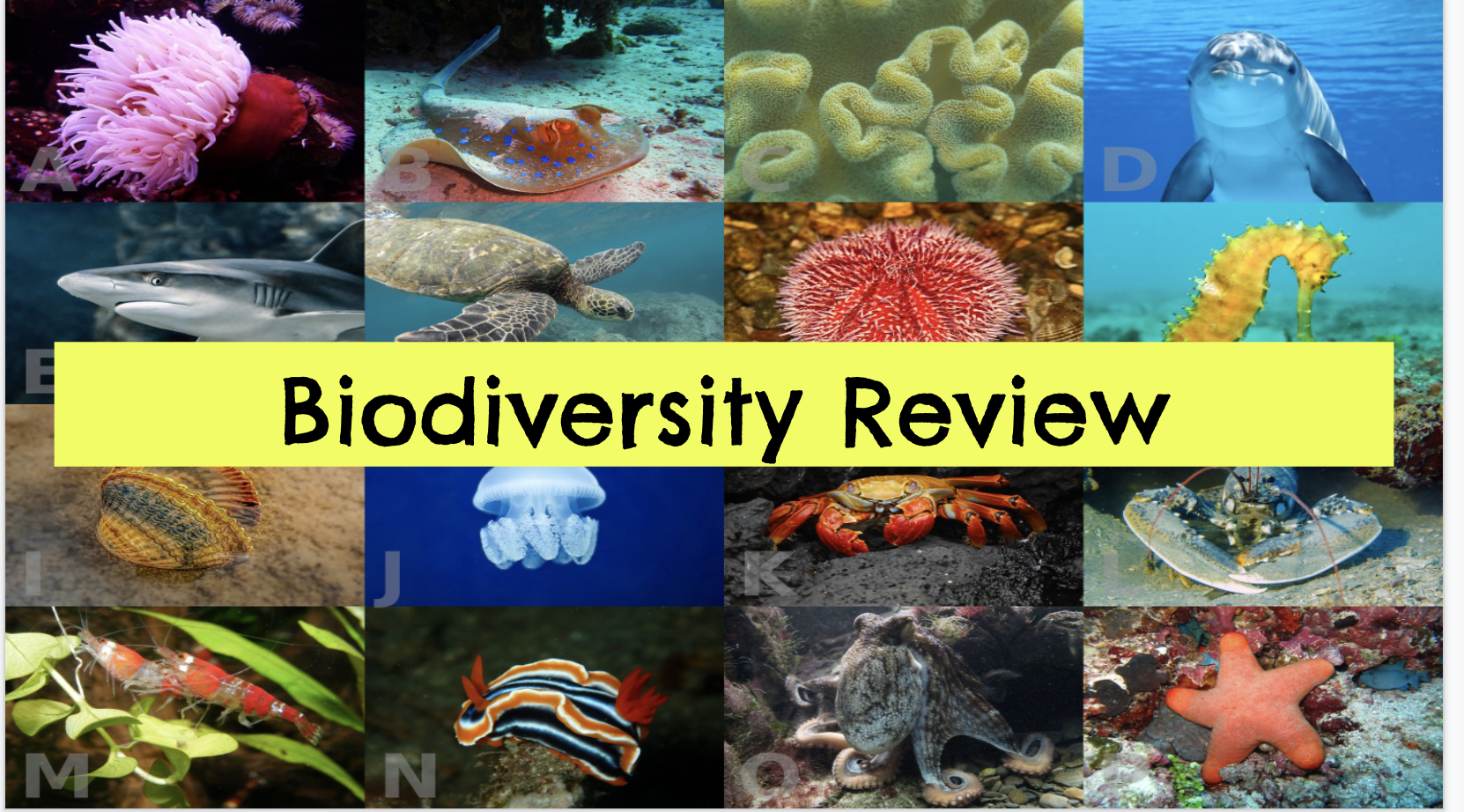 Biodiversity Test Review