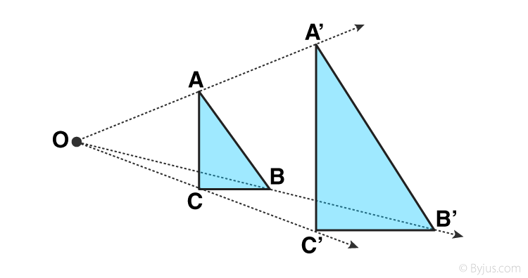 Dilations - Class 12 - Quizizz