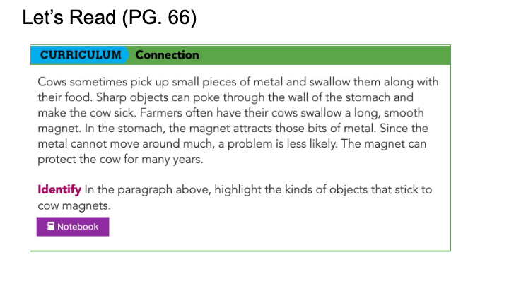 Magnetism | Science - Quizizz