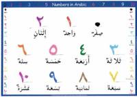 Arabic Flashcards - Quizizz