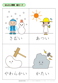 Japanese Flashcards - Quizizz