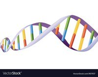 Biologia - Klasa 11 - Quiz