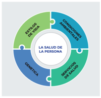 Ciencias de la vida - Grado 5 - Quizizz