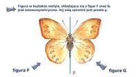 Geometria - Klasa 1 - Quiz