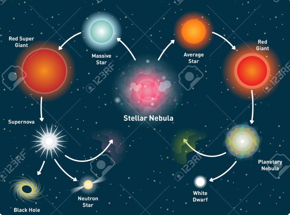 The life cycle of a star Quizizz