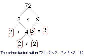 Factorización - Grado 7 - Quizizz