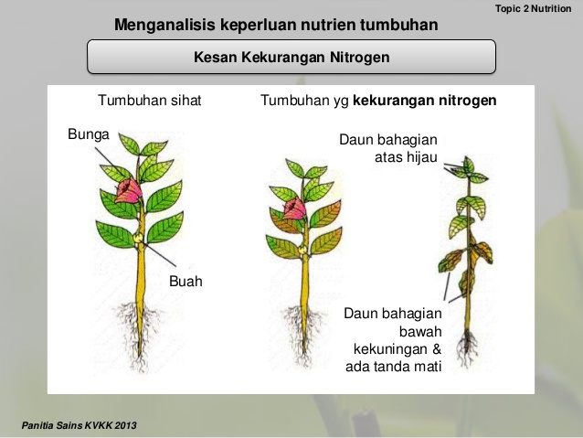 Sains Tingkatan 5 Bab 2 2 Science Quizizz