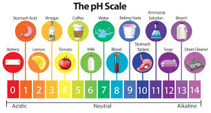 Scaled Pictographs - Grade 9 - Quizizz