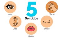 Los 5 Sentidos - Grado 7 - Quizizz