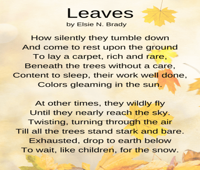 Poem COmprehension_Grade 3 | English - Quizizz