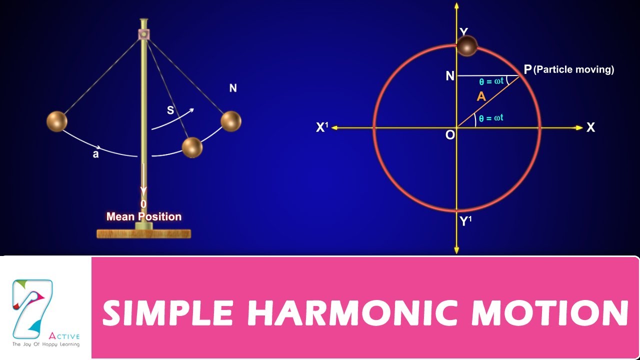 simple harmonic motion Flashcards - Quizizz