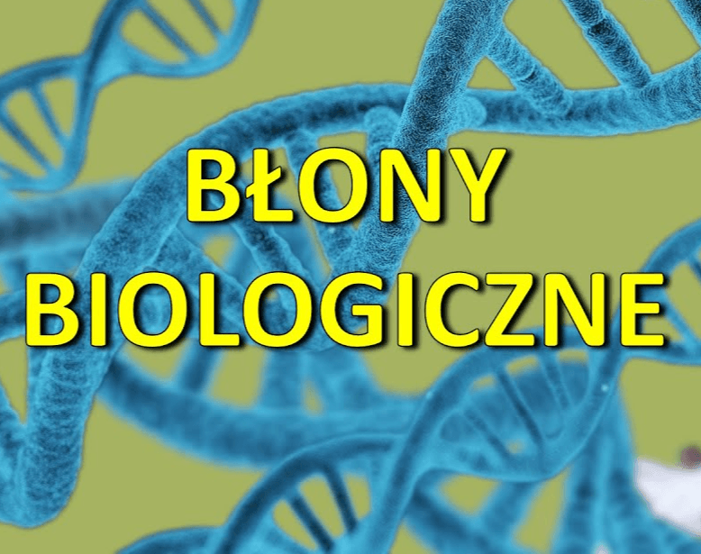 różnorodność biologiczna i ochrona Fiszki - Quizizz