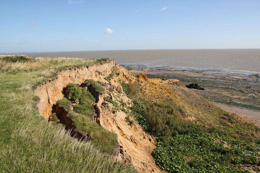 OCR B: Distinctive Landscapes: Case Study: Walton on the Naze | Quizizz