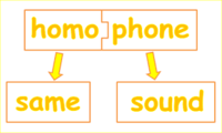 Homophones and Homographs Flashcards - Quizizz