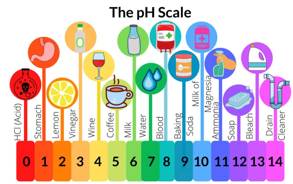 Year 7 Acids and Alkalis | Quizizz