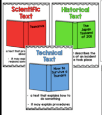 Historias y textos informativos Tarjetas didácticas - Quizizz