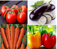 Bagian vegetatif dari tumbuhan yang dapat dimakan, baik secara segar maupun melalui pengolahan dengan cara dimasak adalah...