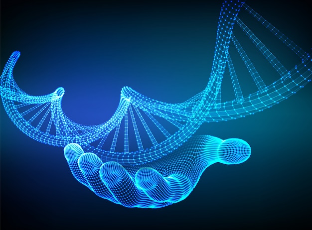 synteza rna i białek - Klasa 12 - Quiz