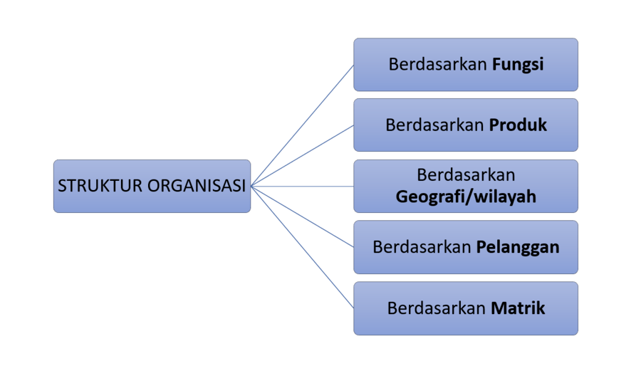 Perniagaan jenis struktur organisasi Pengajian perniagaan