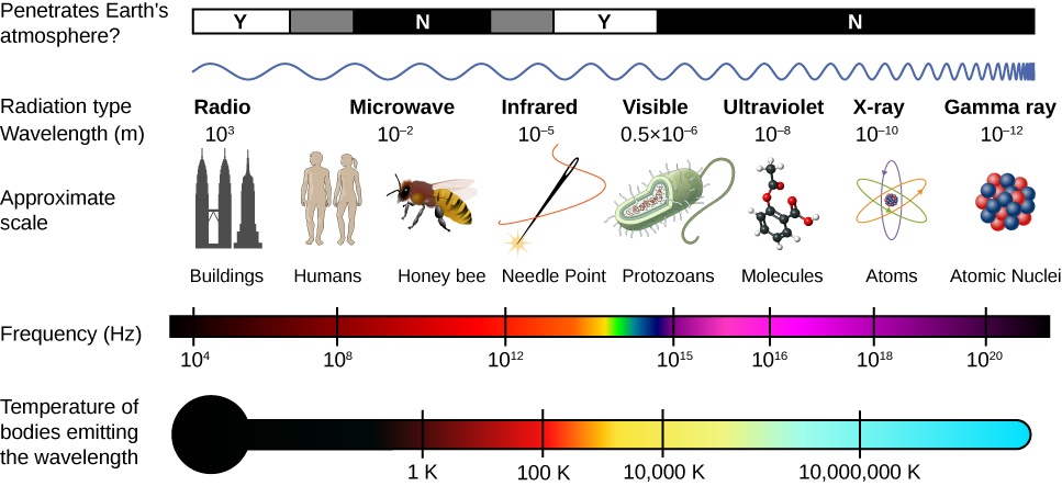 Electromagnetic Spectrum P. 4 Quiz - Quizizz