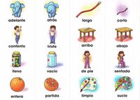 Identificar los opuestos Tarjetas didácticas - Quizizz