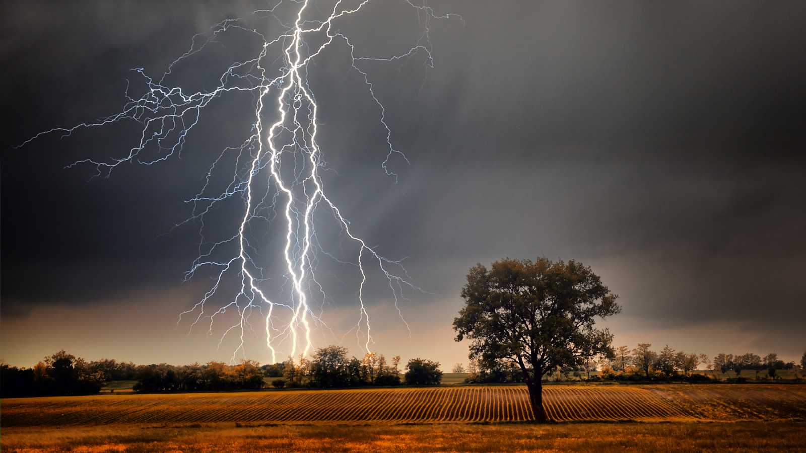 campo de carga eléctrica y potencial - Grado 1 - Quizizz