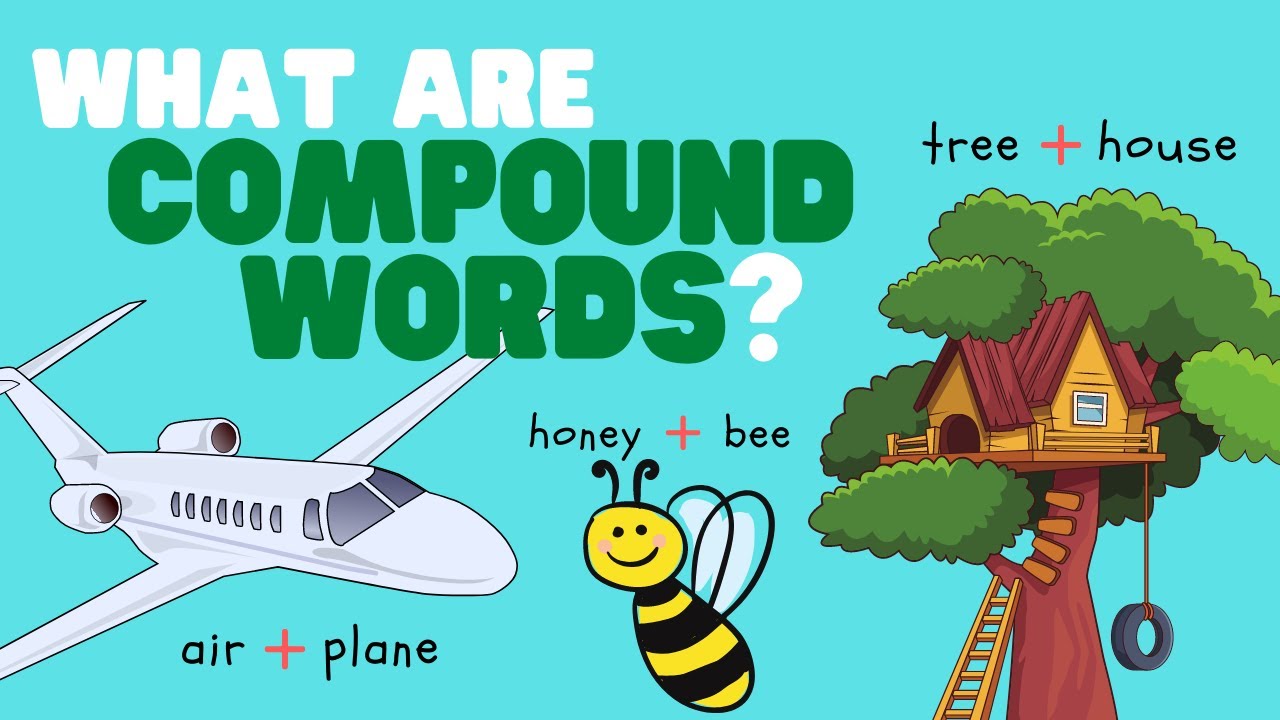 Structure of Compound Words - Year 1 - Quizizz