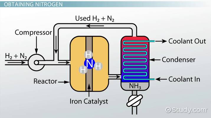 cân bằng hóa học - Lớp 10 - Quizizz