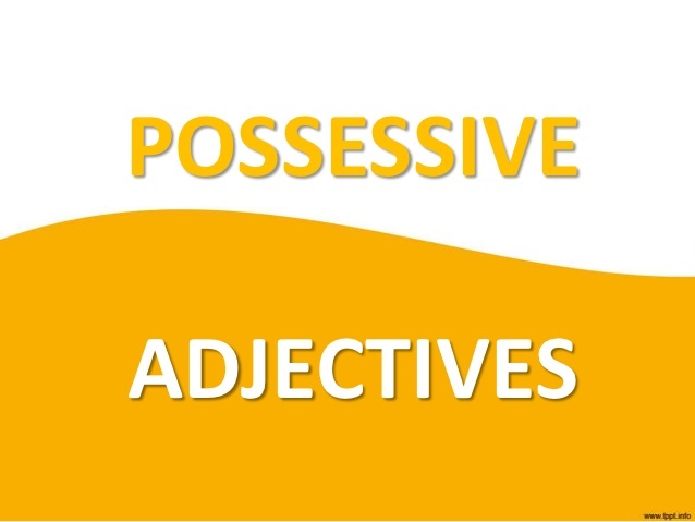 possessive-adjectives-2-grammar-quiz-quizizz