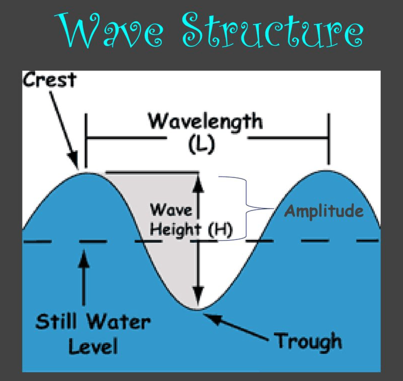 Waves And Tides Questions & Answers For Quizzes And Worksheets - Quizizz