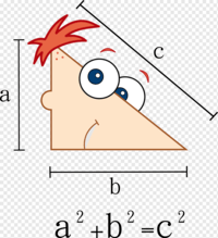 Right Triangles Review Geometry Quiz Quizizz