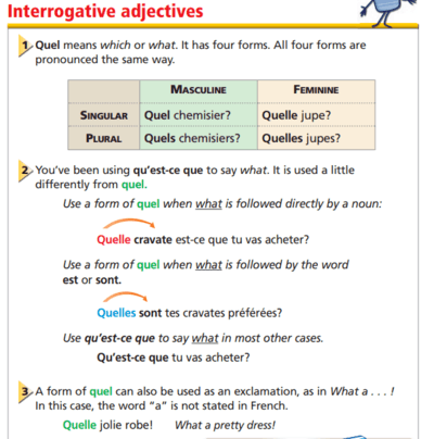 Interrogative Adjectives French Quizizz