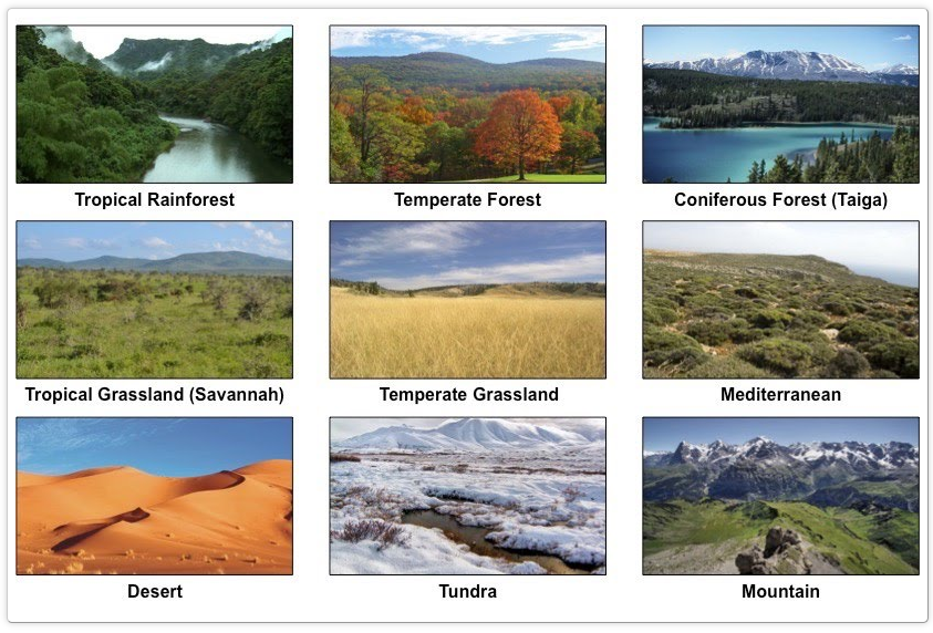 Interdependence of Ecosystems